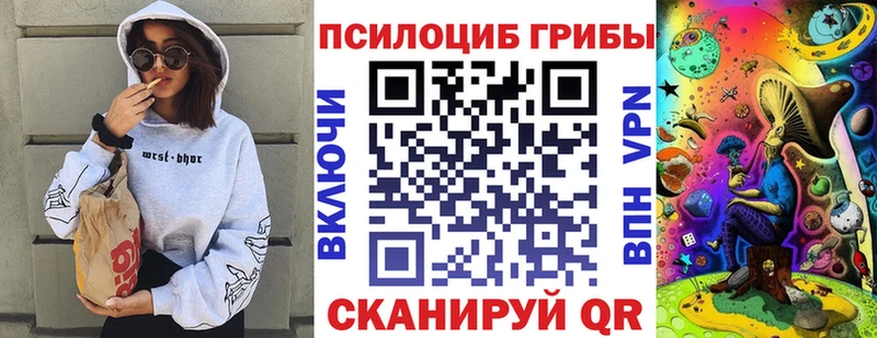 Псилоцибиновые грибы Psilocybe  наркошоп  Макарьев 